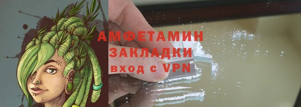 прущие грибы Нея