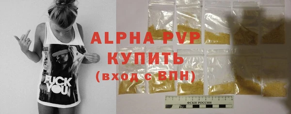 спиды Новозыбков