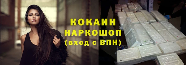 спиды Новозыбков