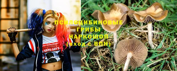 спиды Новозыбков