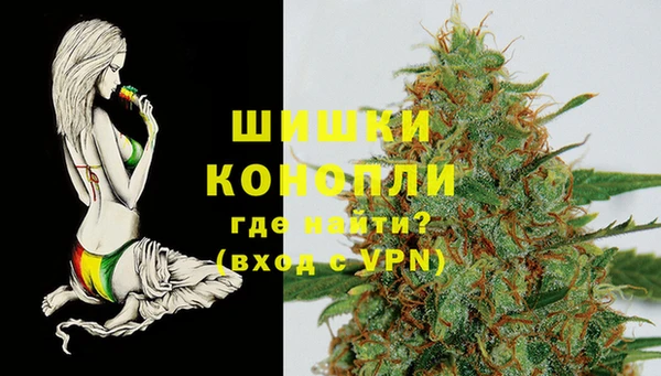 спиды Новозыбков