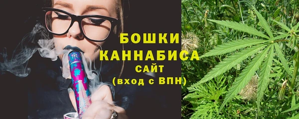 прущие грибы Нея
