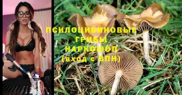 MDMA Premium VHQ Новокубанск