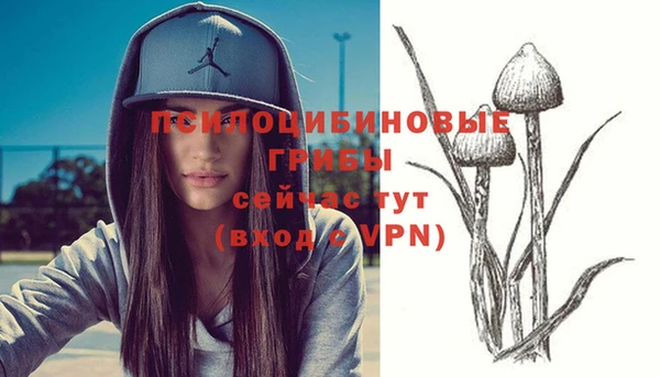2c-b Новодвинск