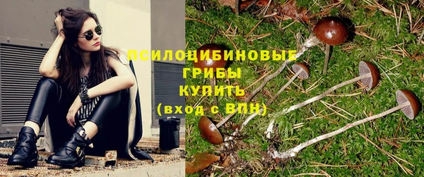 2c-b Новодвинск
