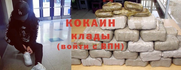 спиды Новозыбков