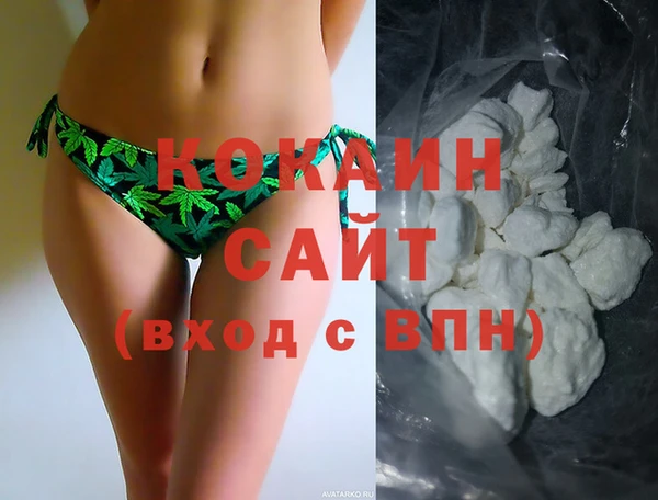 спиды Новозыбков