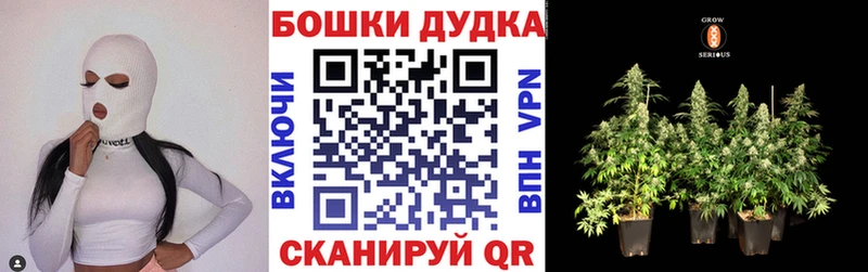 Бошки марихуана MAZAR  Торопец 